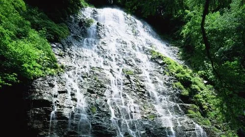 稳定性高标准数字化